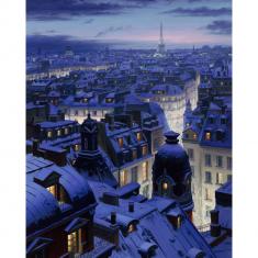 Paint by numbers View from the roofs in Paris - already stretched on a wooden frame