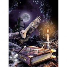 Diamond Painting Magic Owl - already stretched on a wooden frame