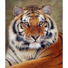 Diamond Painting Tigerauge - auf Keilrahmen gespannt