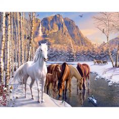 Paint by numbers Horses in the forest during winter - without frame