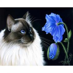 Paint by numbers Cat and Blue Flower - without frame