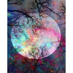 Paint by numbers Full Moon with colorful reflections - without frame