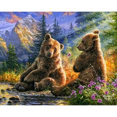 Paint by numbers Sitting Bears - already stretched on a wooden frame