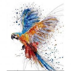 Paint by numbers Parrot in full Flight - already stretched on a wooden frame