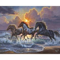 Paint by numbers Horse Trio - without frame