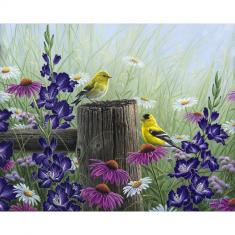 Paint by numbers Goldfinch Birds - without frame