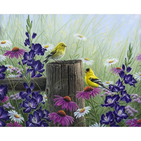 Paint by numbers Goldfinch Birds - without frame - FiguredArt-FA10003