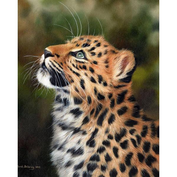 Peinture au numéro : Leopard curieux - sans châssis en bois - FiguredArt-FA10078