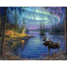 Paint by numbers Moose and aurora borealis - without frame