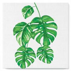 Mini Paint by numbers Monstera Leaves - already stretched on a wooden frame