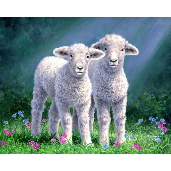 Peinture au numéro : Couple de moutons - sans châssis en bois - FiguredArt-FA10008