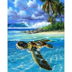 Paint by numbers Relaxing Turtle - already stretched on a wooden frame