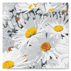 Mini Paint by numbers Daisies Field - already stretched on a wooden frame