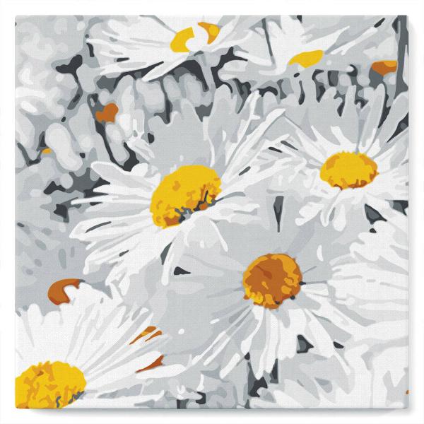 Mini peinture au numéro : Jolies Marguerites  - toile tendue sur chassis - FiguredArt-SFA062-Y