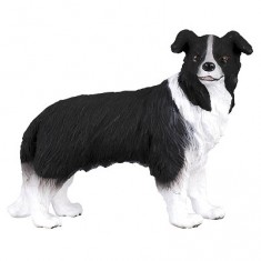Border-Collie-Hund