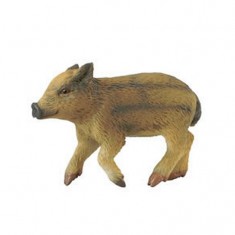 Wildschwein - Babyspaziergang