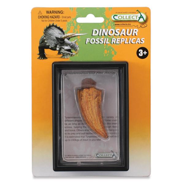 Prähistorische Box: T-Rex-Seitenzahn (Fossile Nachbildung) - Collecta-COL89358