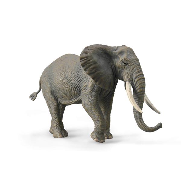  Wildtierfigur (XL): Afrikanischer Elefant - Collecta-3388966