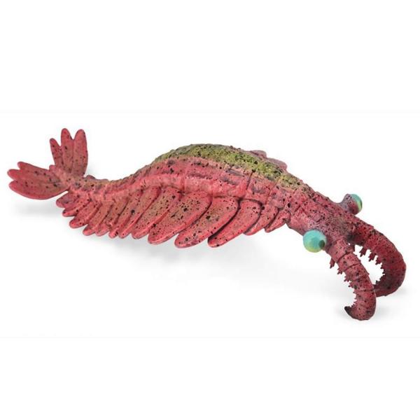 Prähistorische Figur: Anomalocaris - Collecta-COL88977