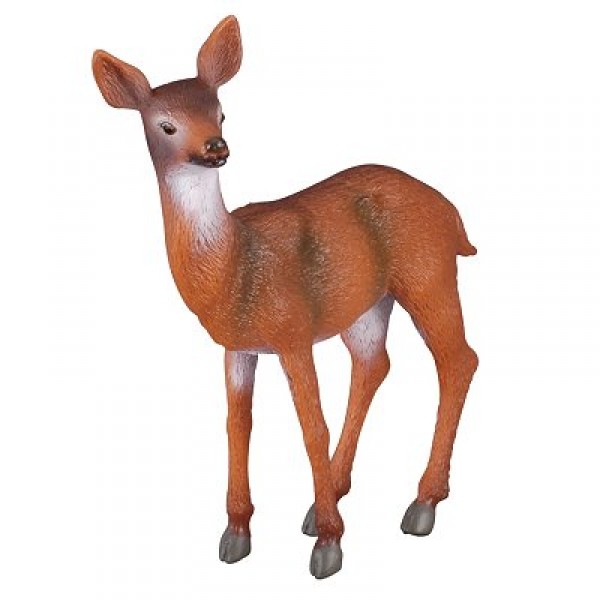 Biche - Neotilus-3388010