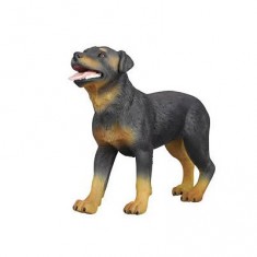 Chien Rottweiler