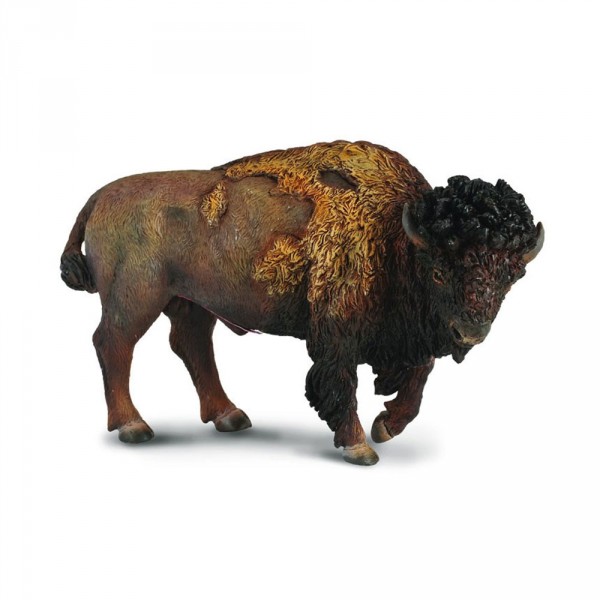 Figurine : Animaux sauvages : Bison d'Amérique du Nord - Collecta-COL88336