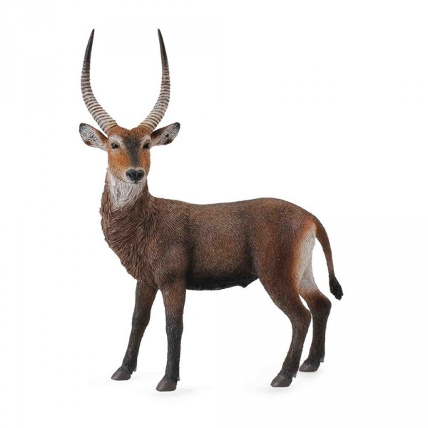 Figurine : Animaux sauvages : Cobe à croissant (Antilope) - Collecta-COL88562