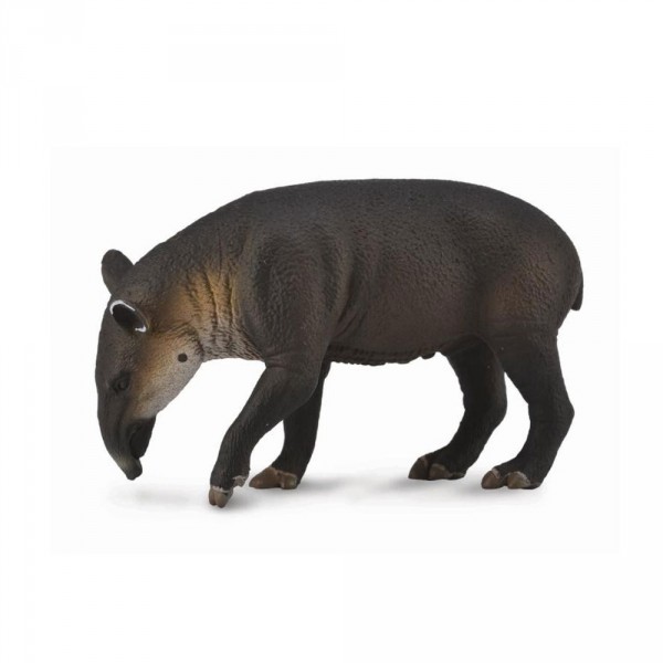 Figurine : Animaux sauvages : Tapir - Collecta-COL88596