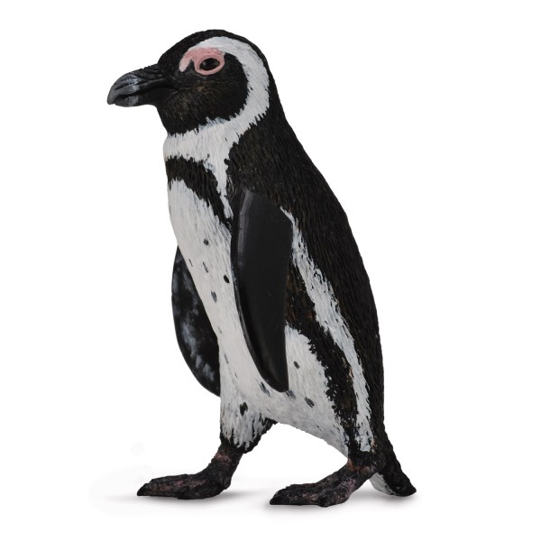 Figurine : Pingouin d'Afrique du Sud - Collecta-COL88710