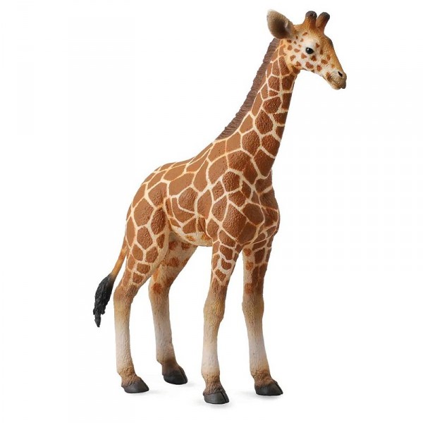 Figurine Figurine bébé girafe - Collecta-COL88535