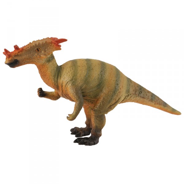 Figurine Dinosaure : Dracorex - Collecta-COL88252