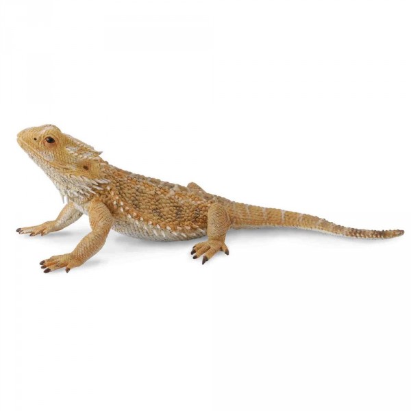 Figurine Reptile : Dragon barbu - Collecta-COL88567
