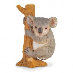 Koala grimpant