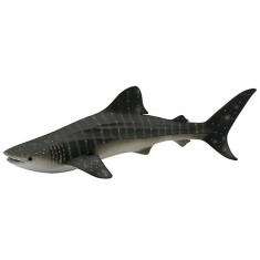 Requin-Baleine