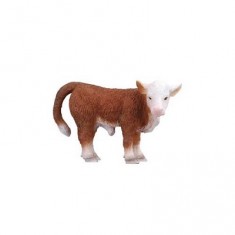 Vache - Veau Hereford