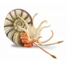 Figurine Préhistoire (Xl): Ammonite Pleuroceras