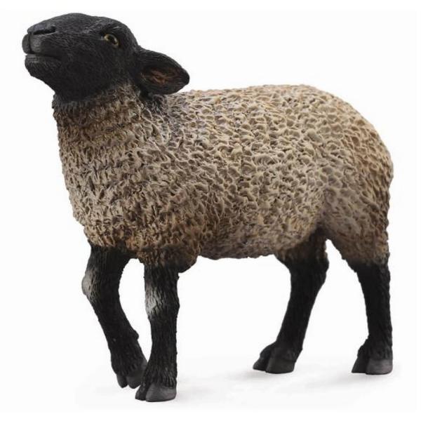 Figurine mouton SUFFOLK - Collecta-COL88636