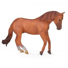 Figurine Cheval XL : Étalon Australien Marron 