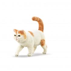 Figurine Chat : Exotic Shorthair