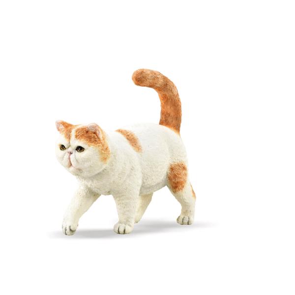 Figurine Chat : Exotic Shorthair - Collecta-COL88937