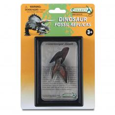 Figurine dinosaure : Dent De Triceratops