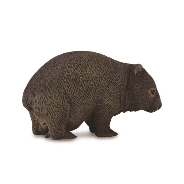 Figurine : Animaux sauvages : Wombat - Collecta-COL88756