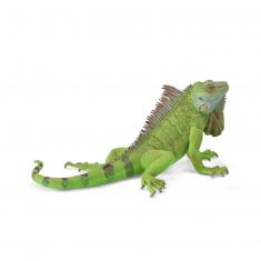Figurine Animaux Sauvages (XL) : Iguane Vert 