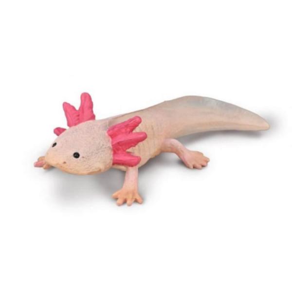 Collecta Préhistoire (M): AXOLOTL - Collecta-3380015