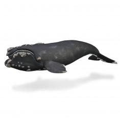 Figurine Animal Marin (XL): Baleine franche