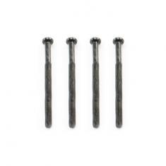 FTX OUTBACK ROUNDED HEAD SCREW  M2*27 (4)