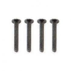 FTX OUTBACK BUTTON HEAD SCREW M2*14 (4)