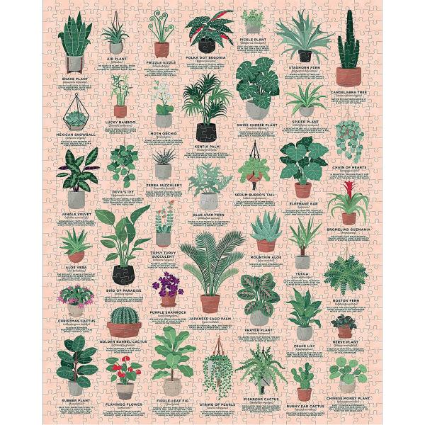 1000 Piece Puzzle : House Plants - Galison-40626