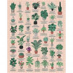 Puzzle 1000 pièces : Plantes d'intérieur