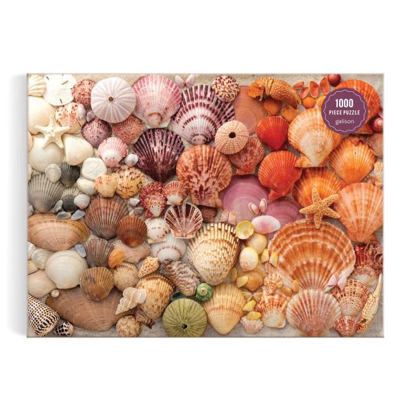 Puzzle de 1000 piezas : Conchas marinas vibrantes - Galison-80608
